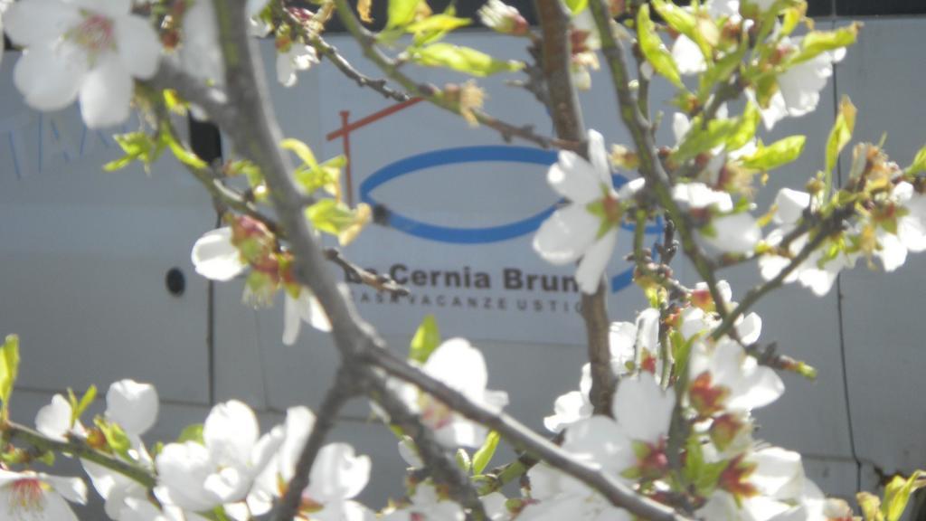 Case Vacanze La Cernia Bruna Устика Экстерьер фото